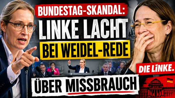 Bundestag-Skandal: Linke lacht bei Weidel-Rede über Missbrauch