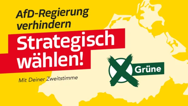 SKANDAL VOR DER WAHL: Wie eine NGO mit 150.000 Euro das Wahlergebnis manipulieren will!